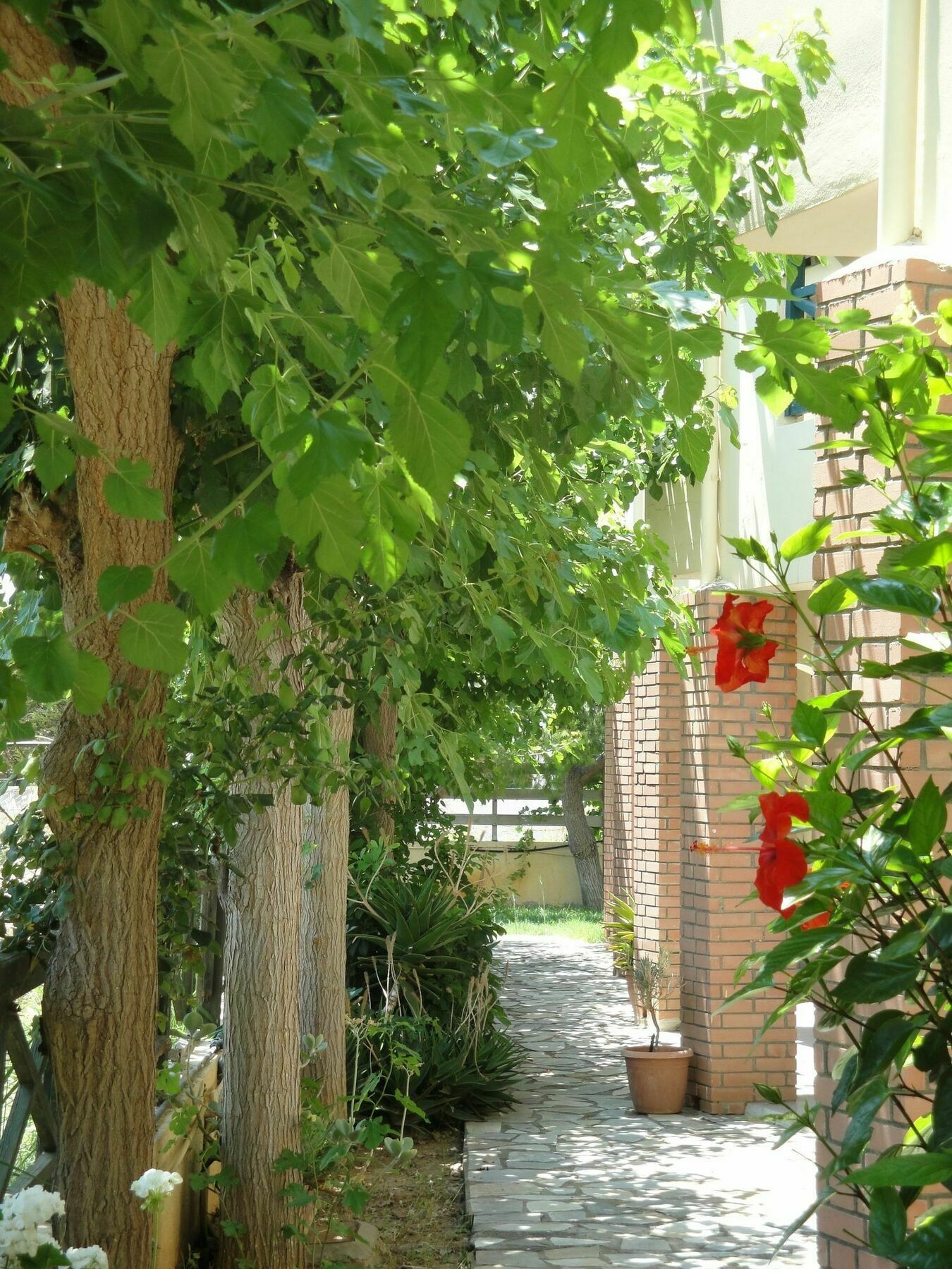 Nancy - Chara Apartments Καρτερός Εξωτερικό φωτογραφία