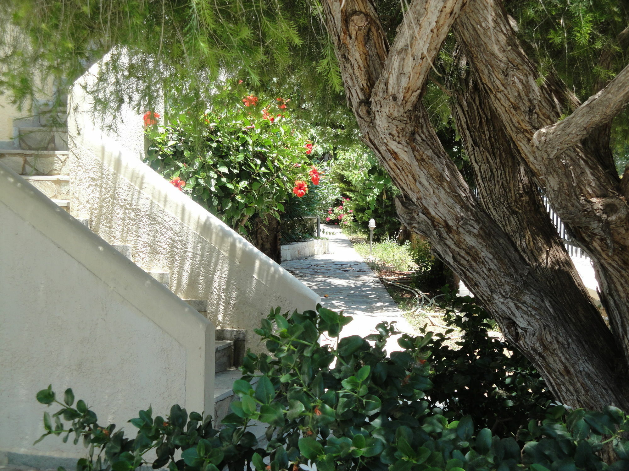 Nancy - Chara Apartments Καρτερός Εξωτερικό φωτογραφία